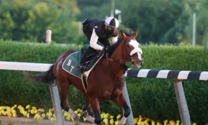Belmont Stakes 2020 betting