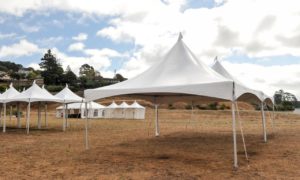 Stars-Casino-Reopens-Outside
