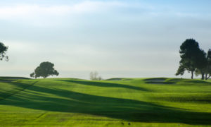 2022 Farmers Insurance Open: sports betting odds and players to watch in CA