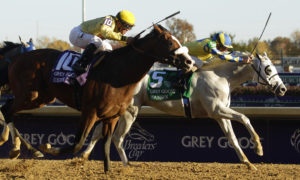 Live stream and bet on the Pegasus World Cup with TVG