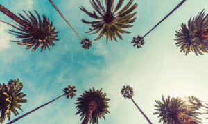 April update on California sports betting ballot initiatives
