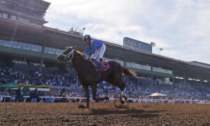 Mike Smith