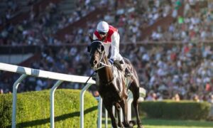 Animal activists blast Prop. 26 over its boost to horse racing
