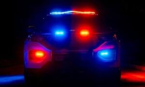 California illegal gambling raid