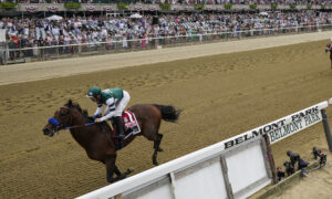 Belmont Stakes Horse Racing
