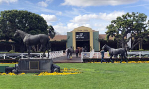 Santa Anita Fatalities Horse Racing