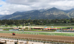 Santa Anita Park scenic