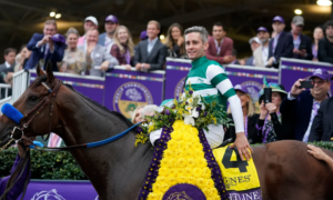 Flightline Horse Of The Year