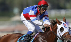 California horse racing warm-up weekend