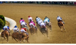 Multiple horses from California will run in the 2023 Kentucky Derby, from playca.com