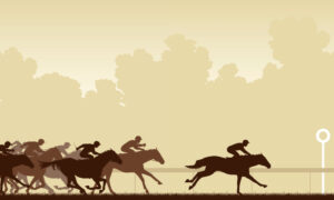 Santa Anita is set to host it's first-ever Hollywood Meet for California horse racing, from playca.com