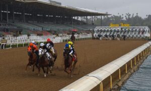 Handicapping Santa Anita Derby, Santa Anita Oaks, from playca.com