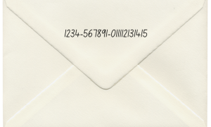 High 5 mail in