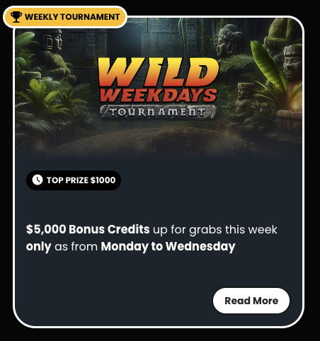 Horseplay_Wild_Weekdays_Tournament